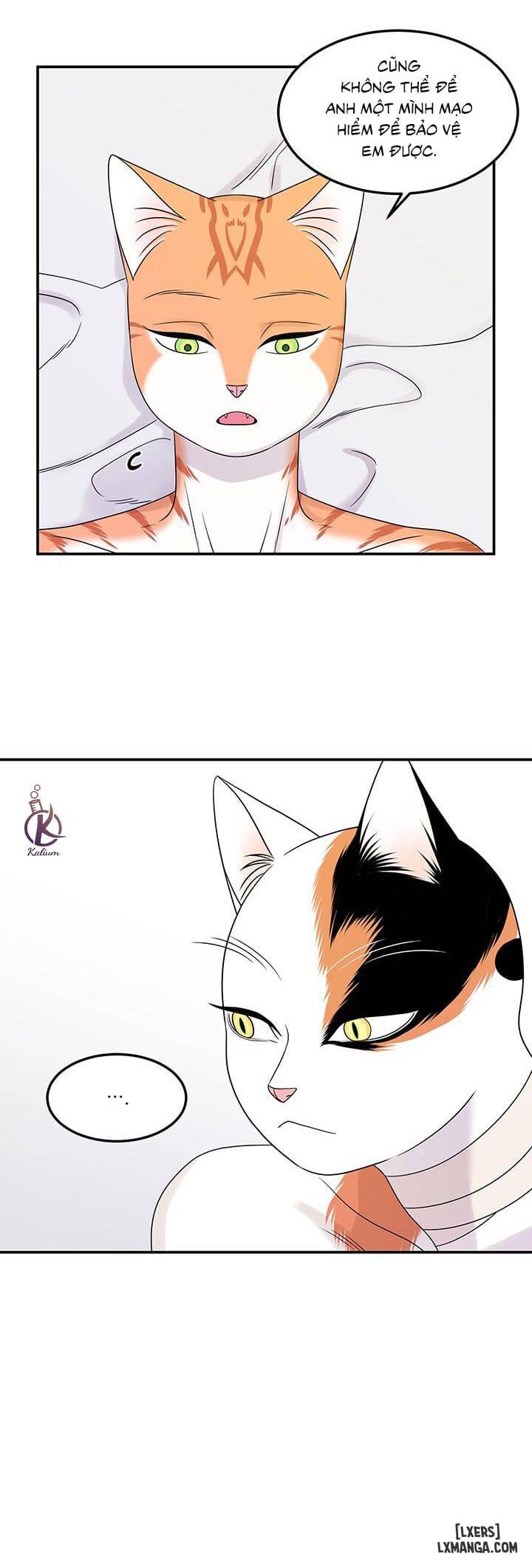 HentaiVN.net - Ảnh 20 - Dự án xanh - Chap 23