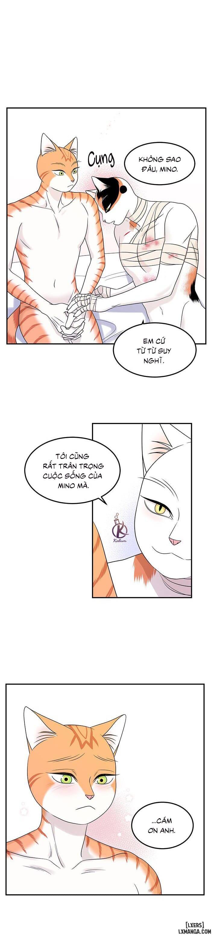 HentaiVN.net - Ảnh 23 - Dự án xanh - Chap 23
