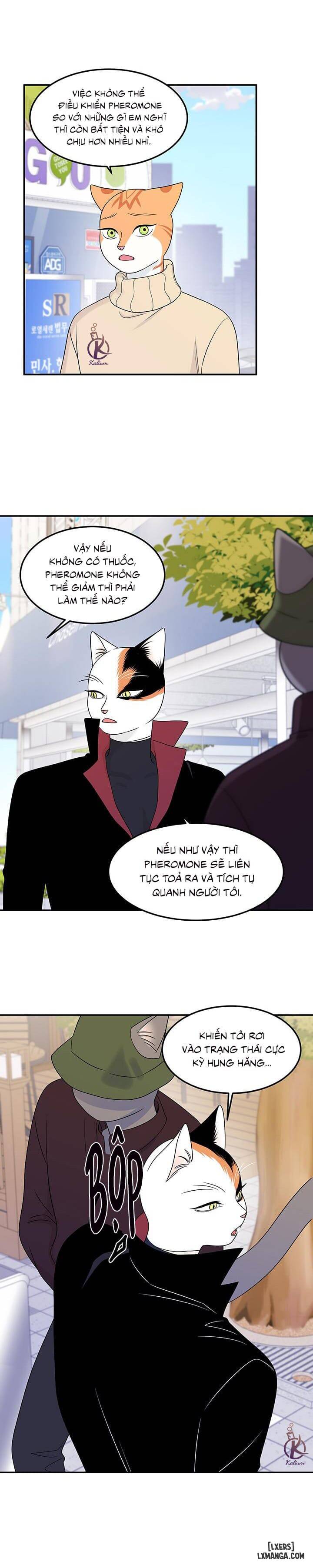 HentaiVN.net - Ảnh 29 - Dự án xanh - Chap 23