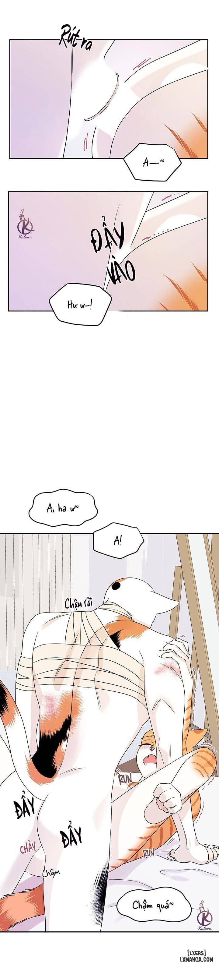 HentaiVN.net - Ảnh 5 - Dự án xanh - Chap 23