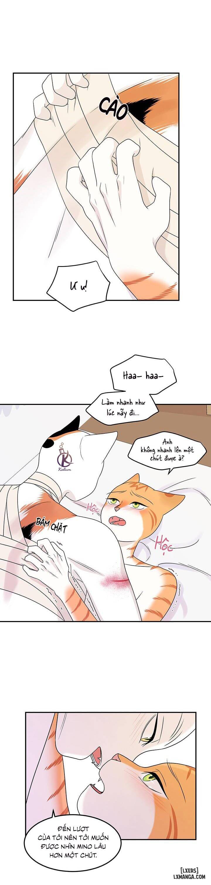 HentaiVN.net - Ảnh 6 - Dự án xanh - Chap 23