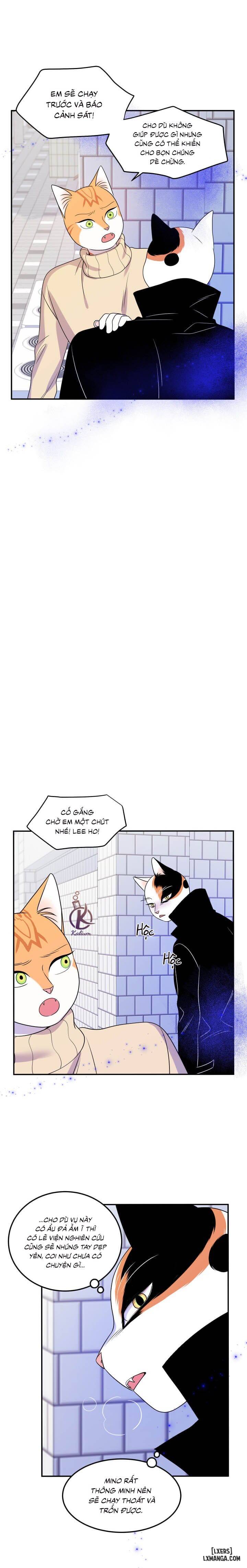 HentaiVN.net - Ảnh 14 - Dự án xanh - Chap 24