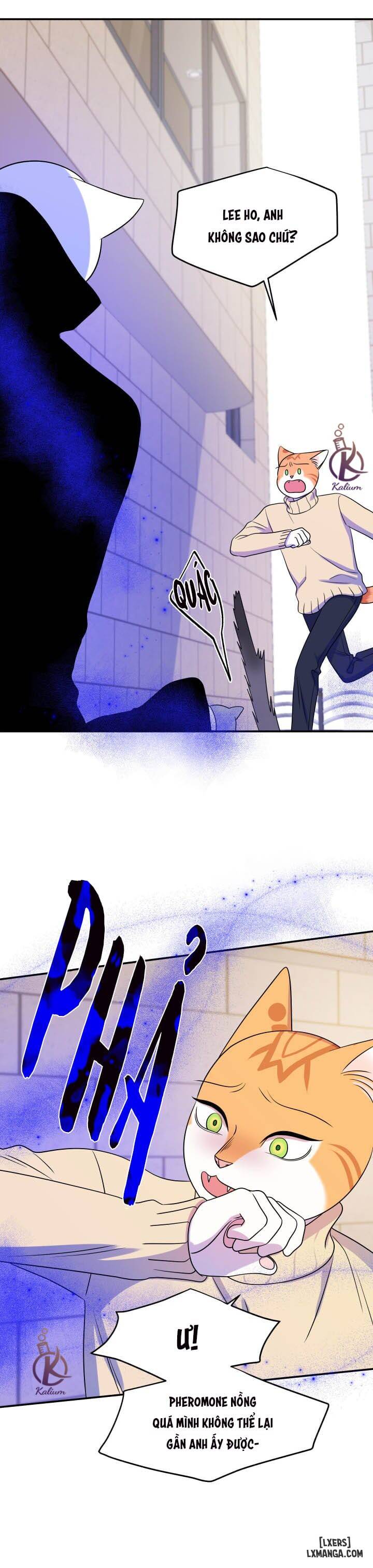 HentaiVN.net - Ảnh 30 - Dự án xanh - Chap 24