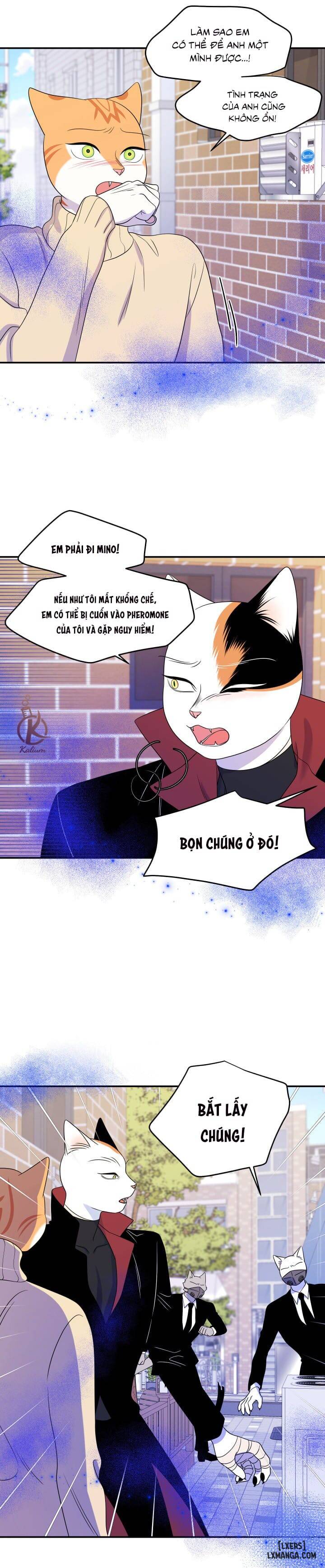 HentaiVN.net - Ảnh 6 - Dự án xanh - Chap 24