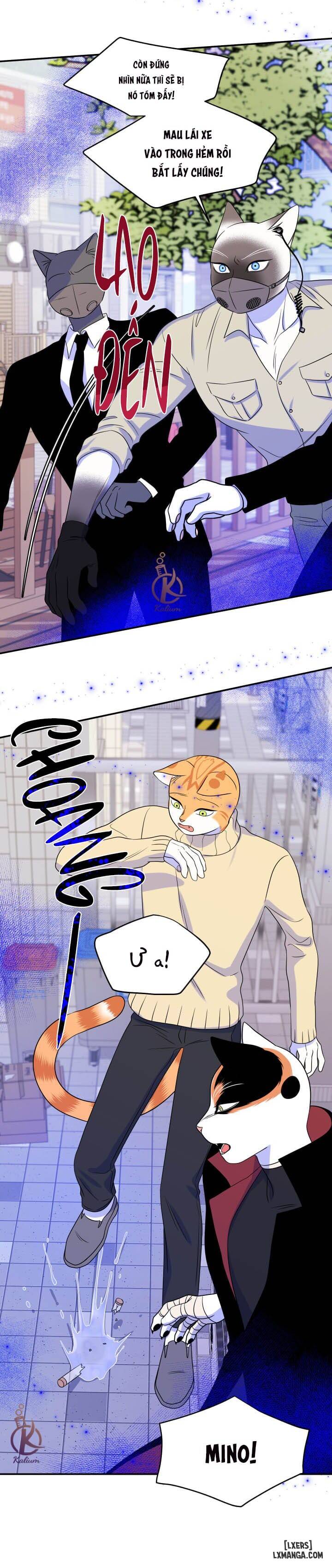 HentaiVN.net - Ảnh 9 - Dự án xanh - Chap 24