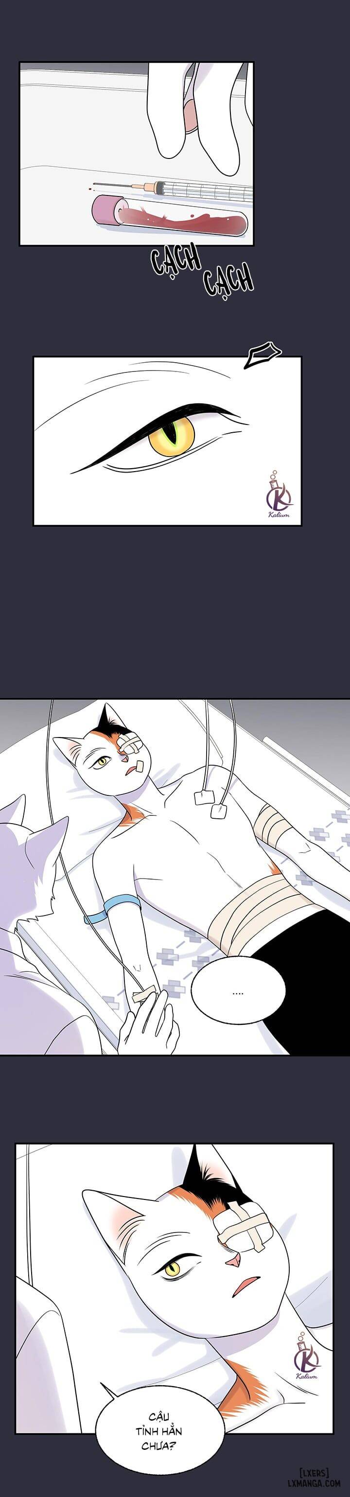 HentaiVN.net - Ảnh 15 - Dự án xanh - Chap 25