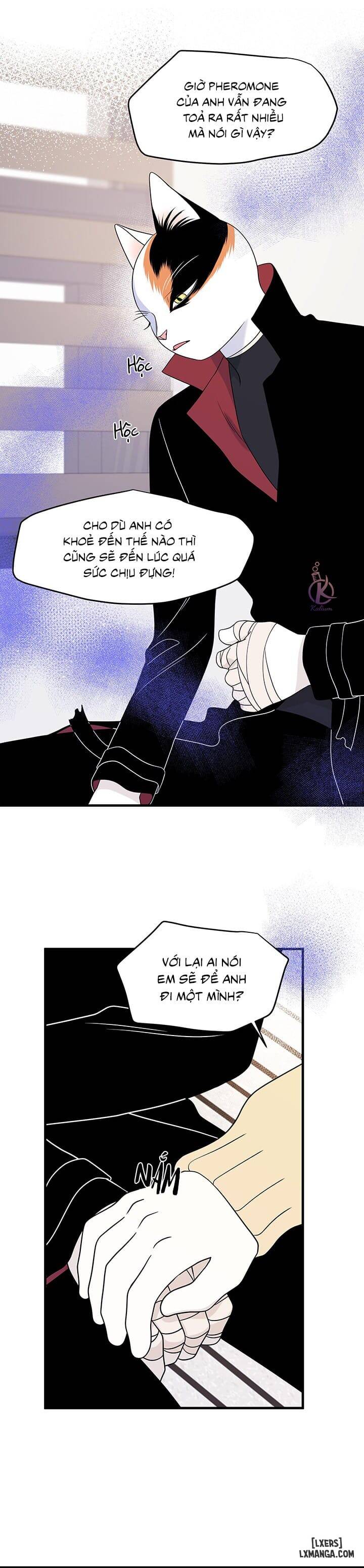 HentaiVN.net - Ảnh 23 - Dự án xanh - Chap 25