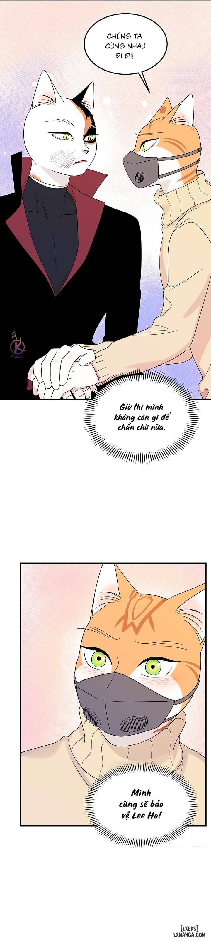 HentaiVN.net - Ảnh 24 - Dự án xanh - Chap 25