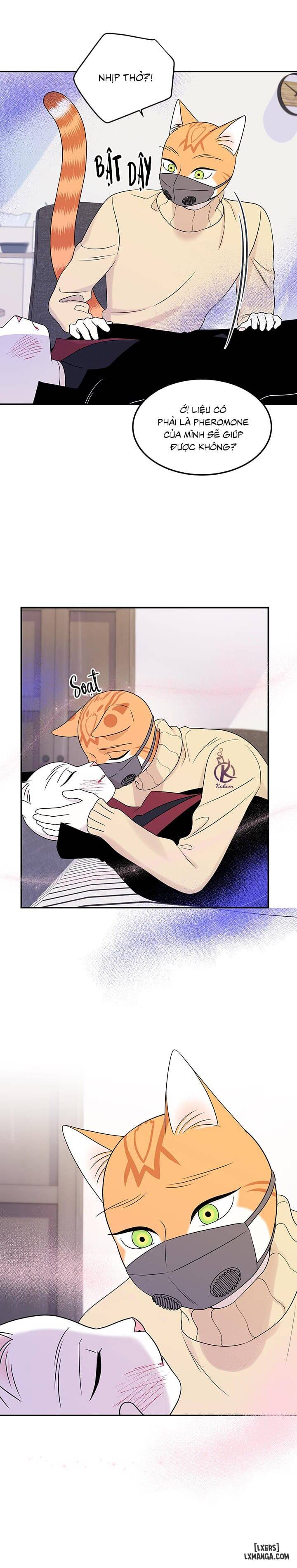 HentaiVN.net - Ảnh 4 - Dự án xanh - Chap 25