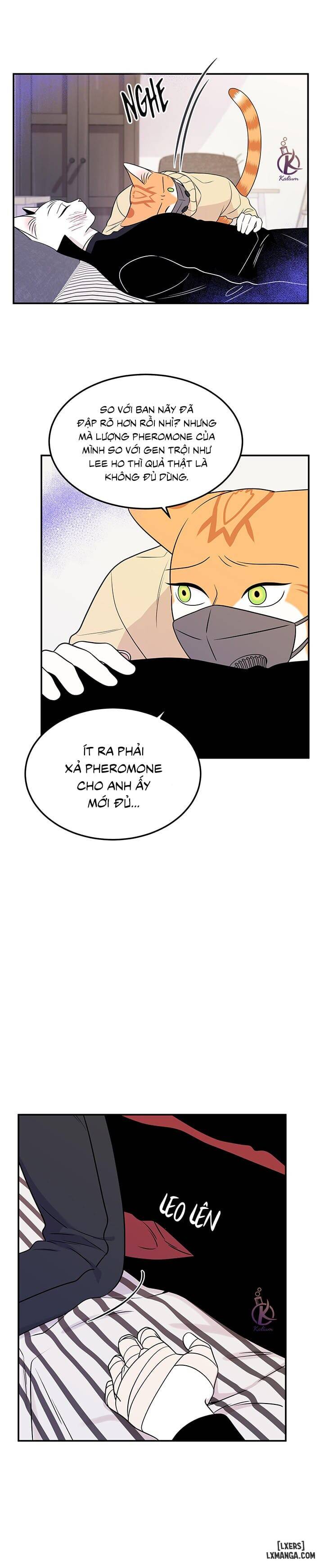 HentaiVN.net - Ảnh 5 - Dự án xanh - Chap 25
