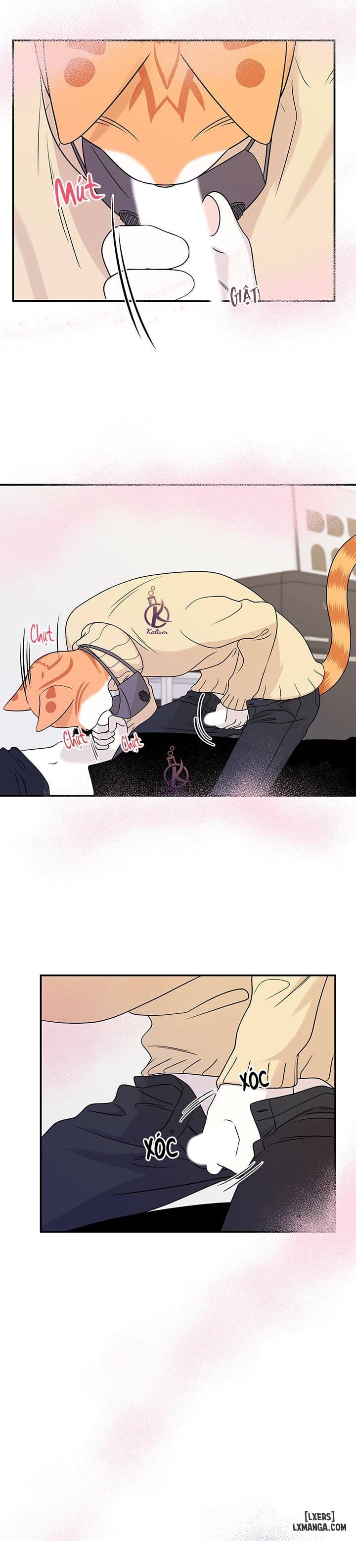 HentaiVN.net - Ảnh 8 - Dự án xanh - Chap 25