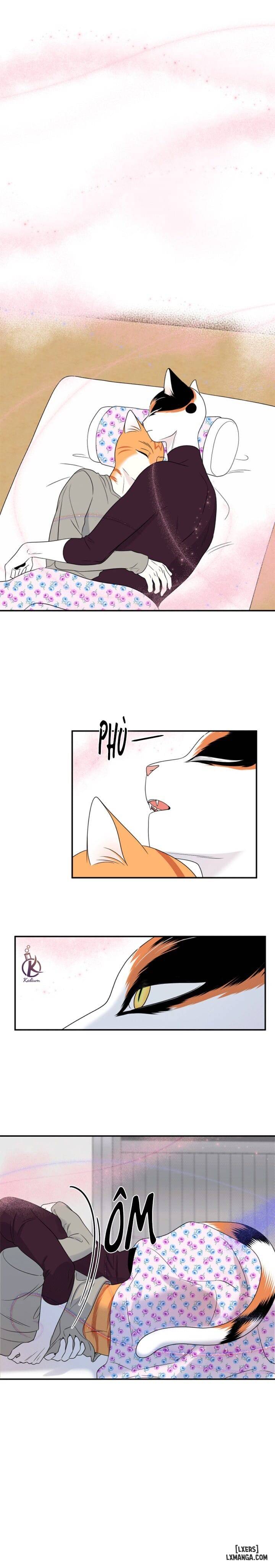 HentaiVN.net - Ảnh 14 - Dự án xanh - Chap 27
