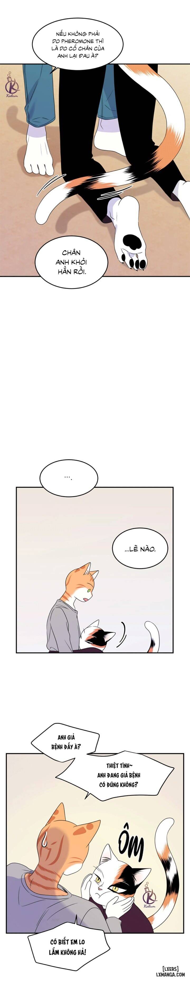 HentaiVN.net - Ảnh 19 - Dự án xanh - Chap 27