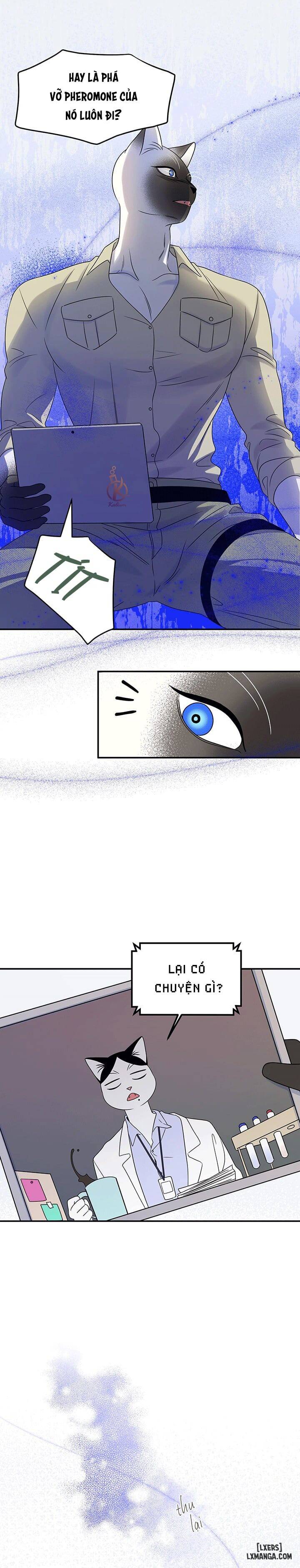 HentaiVN.net - Ảnh 20 - Dự án xanh - Chap 30