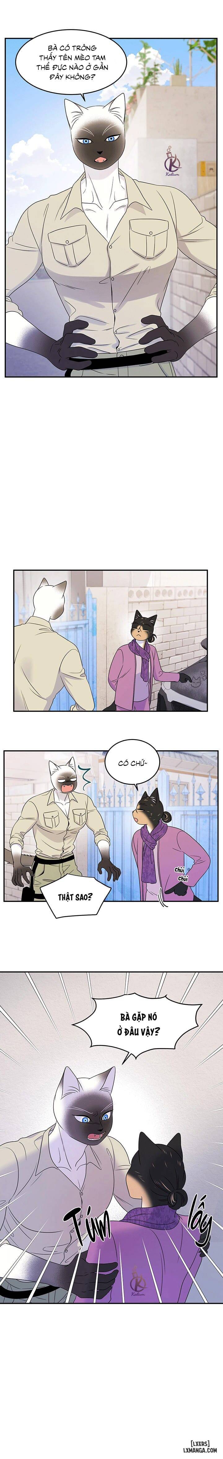 HentaiVN.net - Ảnh 9 - Dự án xanh - Chap 30