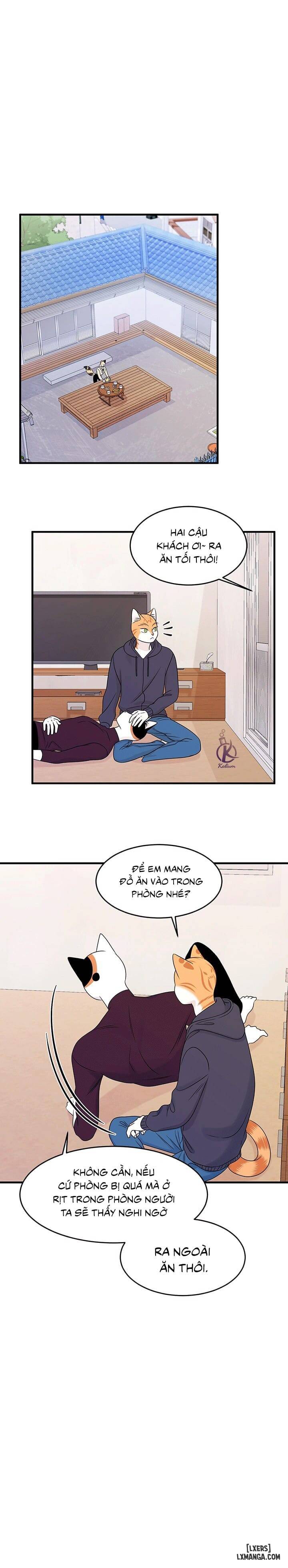 HentaiVN.net - Ảnh 16 - Dự án xanh - Chap 31