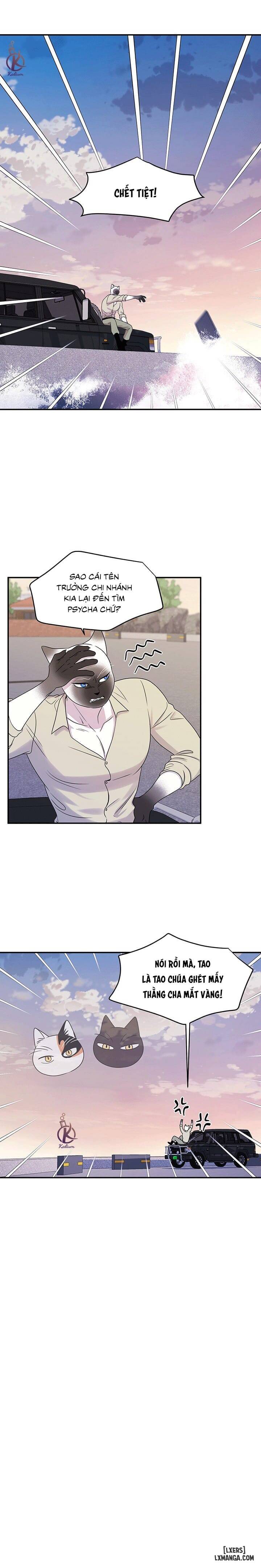HentaiVN.net - Ảnh 9 - Dự án xanh - Chap 31