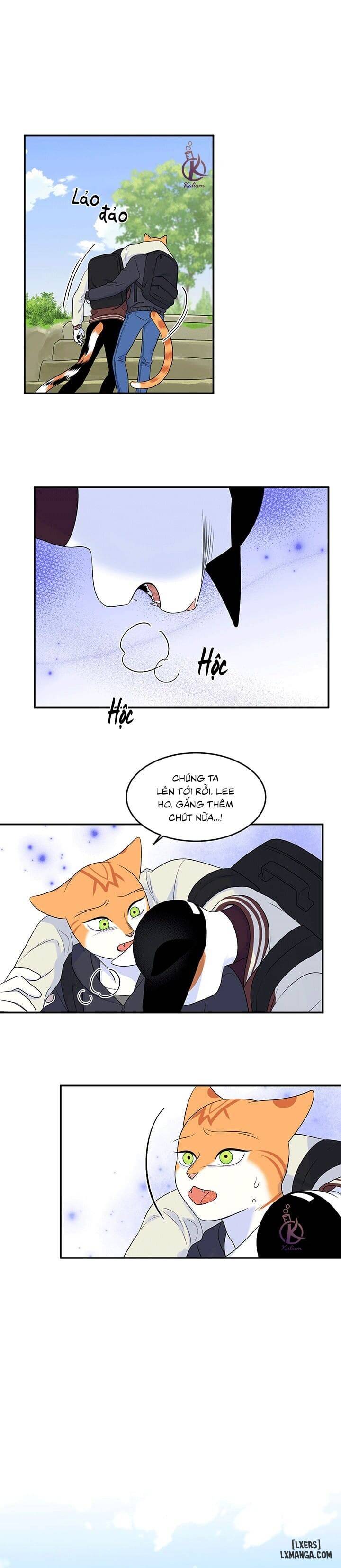 HentaiVN.net - Ảnh 16 - Dự án xanh - Chap 32
