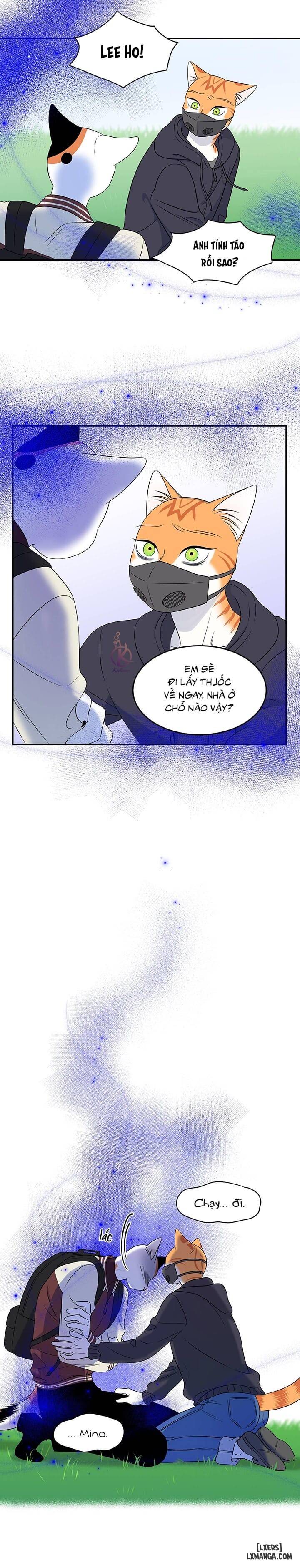 HentaiVN.net - Ảnh 10 - Dự án xanh - Chap 33