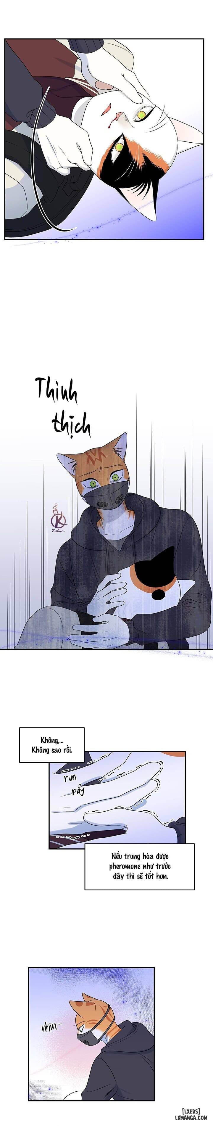 HentaiVN.net - Ảnh 14 - Dự án xanh - Chap 33