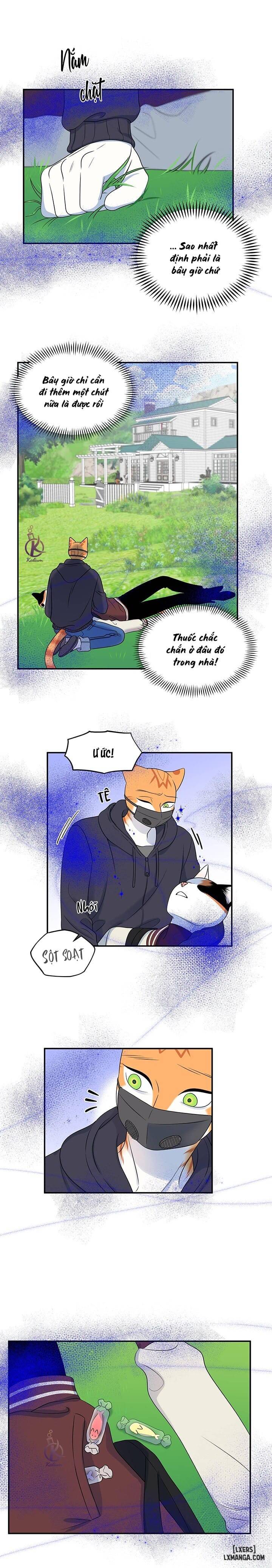 HentaiVN.net - Ảnh 16 - Dự án xanh - Chap 33