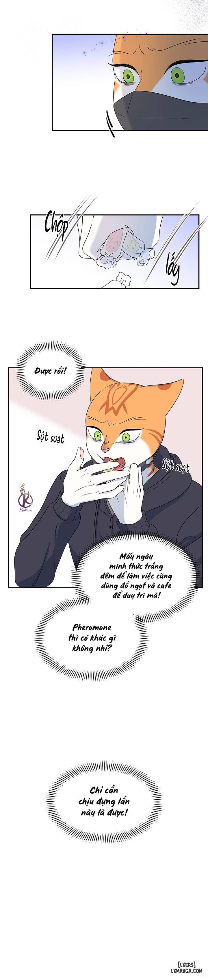 HentaiVN.net - Ảnh 17 - Dự án xanh - Chap 33