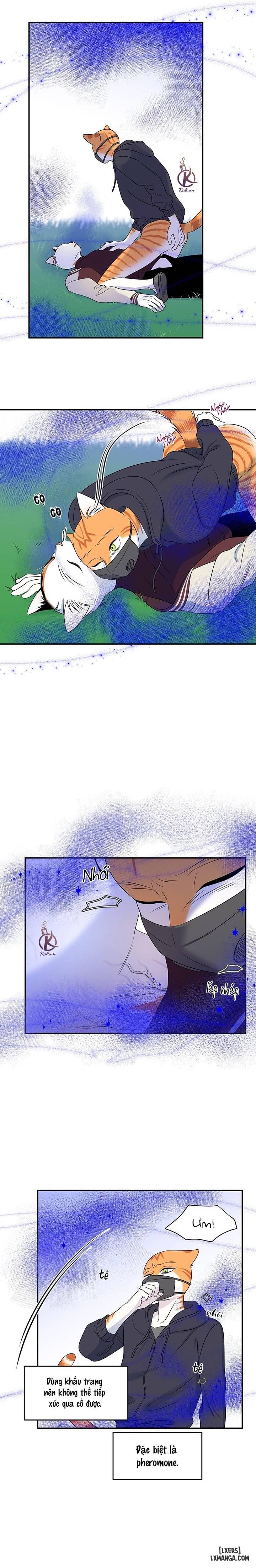 HentaiVN.net - Ảnh 18 - Dự án xanh - Chap 33
