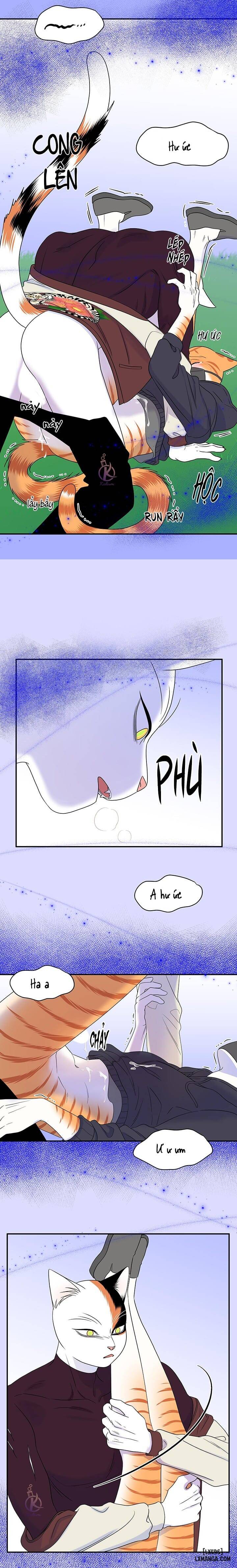 HentaiVN.net - Ảnh 13 - Dự án xanh - Chap 34
