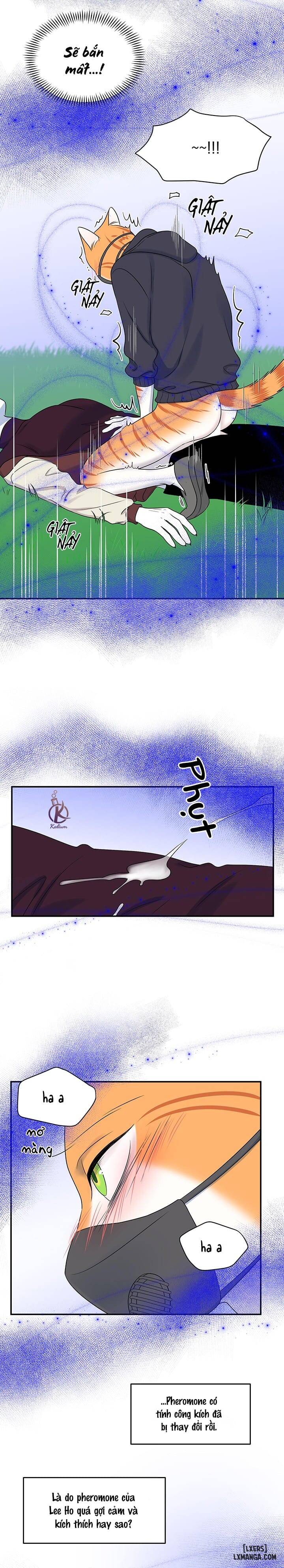 HentaiVN.net - Ảnh 3 - Dự án xanh - Chap 34