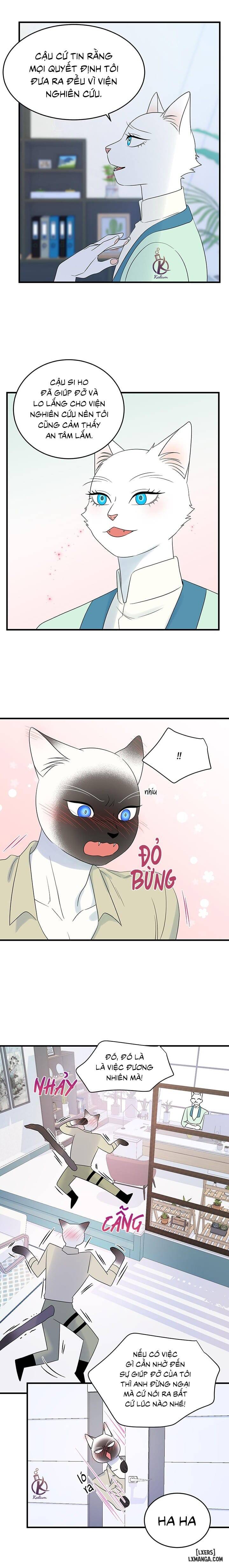 HentaiVN.net - Ảnh 10 - Dự án xanh - Chap 35