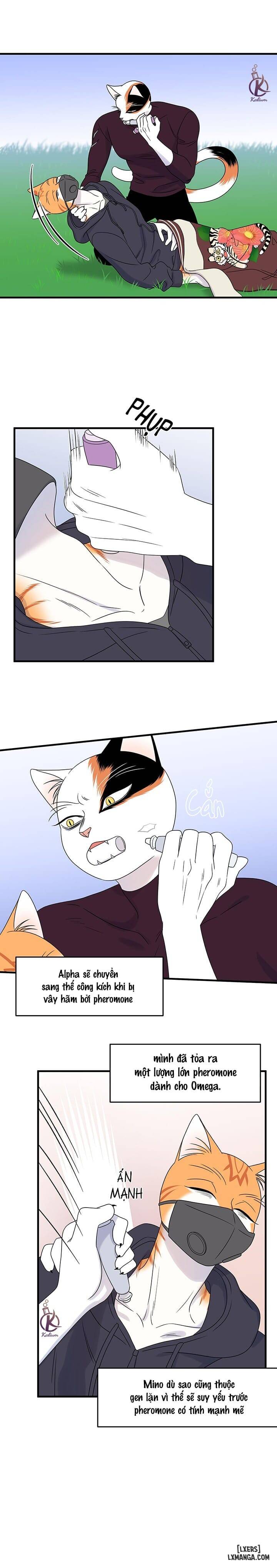 HentaiVN.net - Ảnh 3 - Dự án xanh - Chap 35
