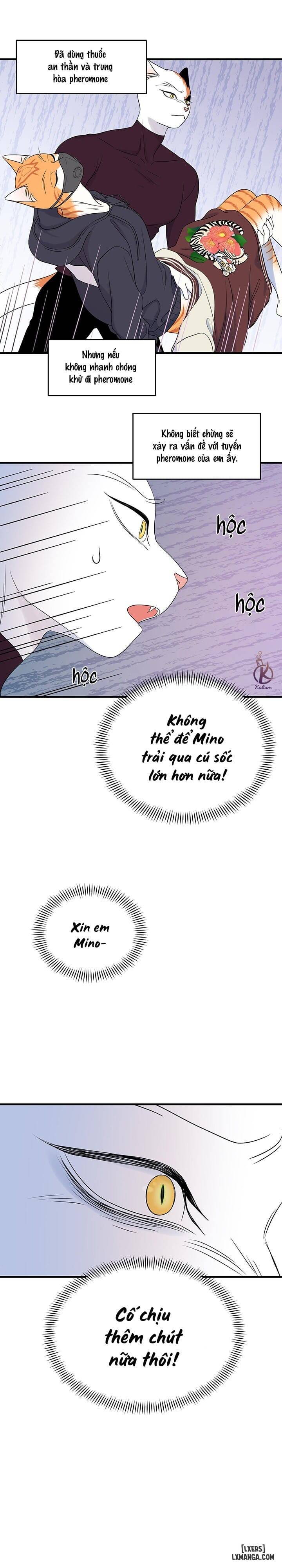 HentaiVN.net - Ảnh 4 - Dự án xanh - Chap 35
