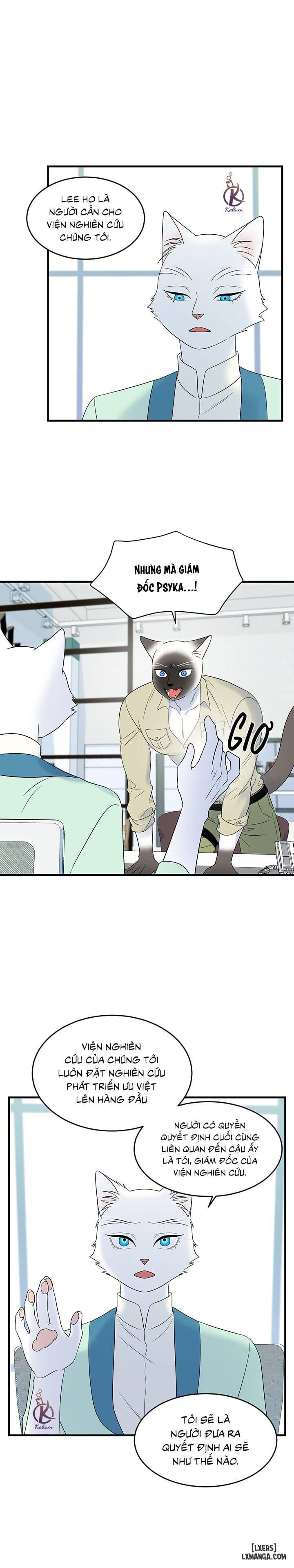 HentaiVN.net - Ảnh 8 - Dự án xanh - Chap 35