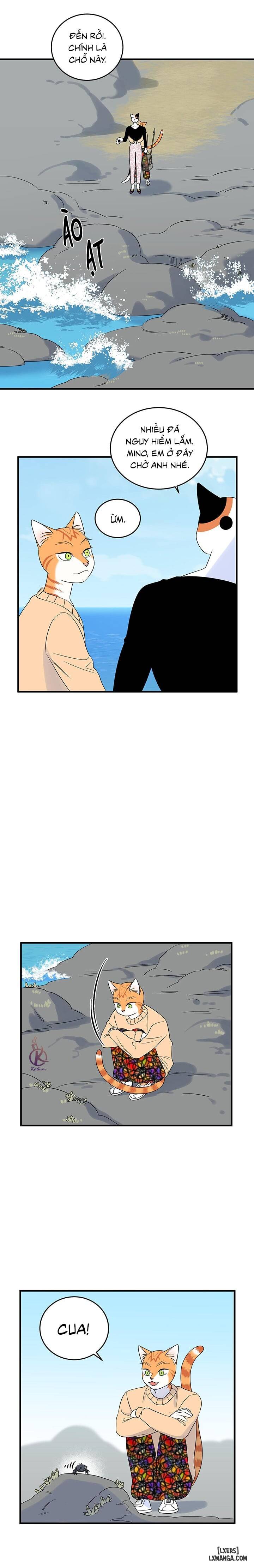 HentaiVN.net - Ảnh 8 - Dự án xanh - Chap 36