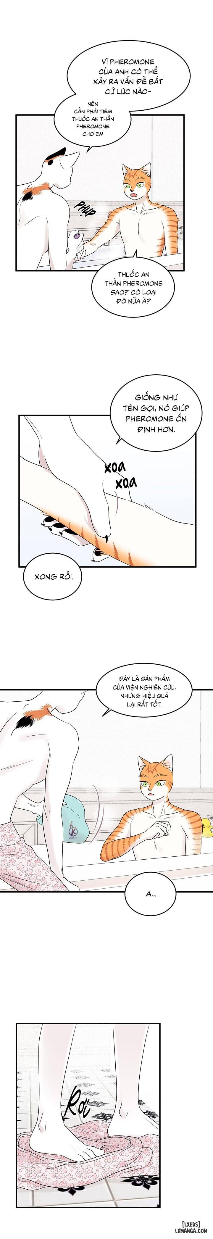 HentaiVN.net - Ảnh 5 - Dự án xanh - Chap 37