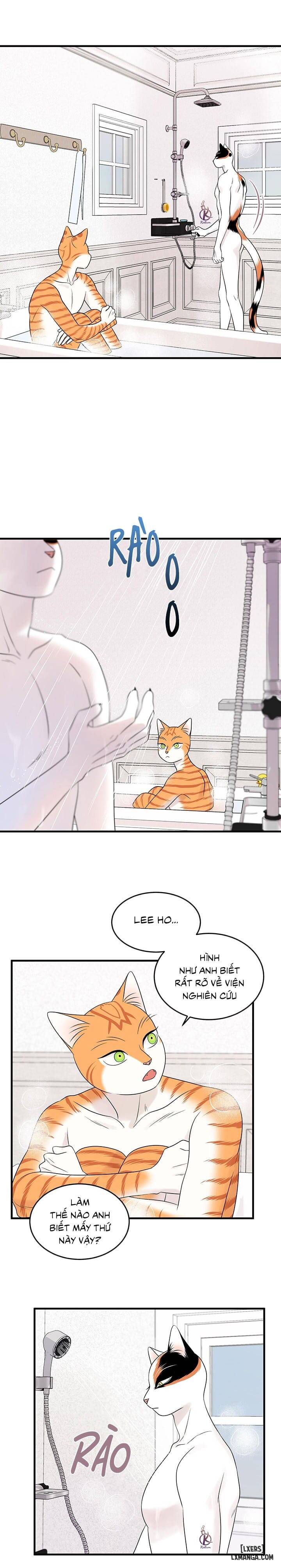 HentaiVN.net - Ảnh 6 - Dự án xanh - Chap 37