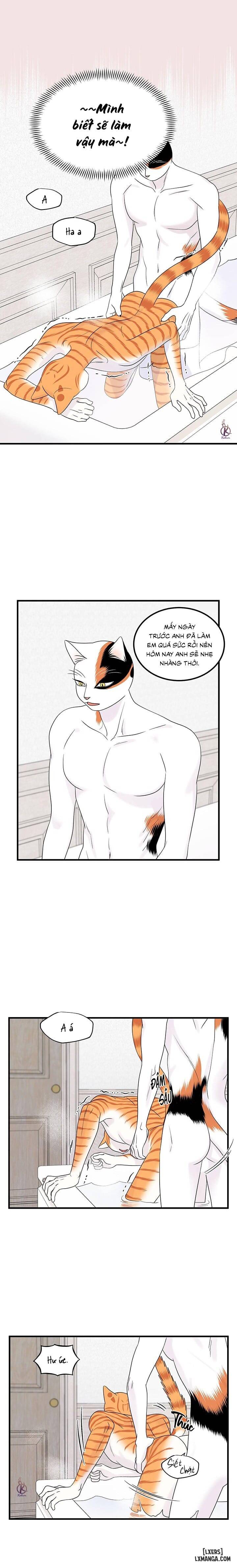 HentaiVN.net - Ảnh 11 - Dự án xanh - Chap 38