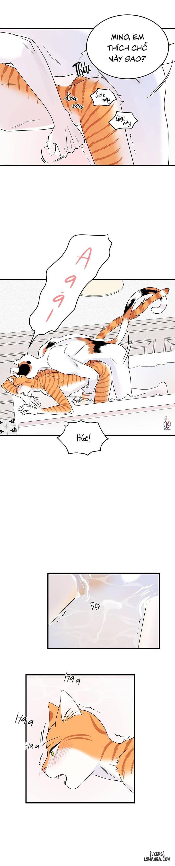 HentaiVN.net - Ảnh 17 - Dự án xanh - Chap 38