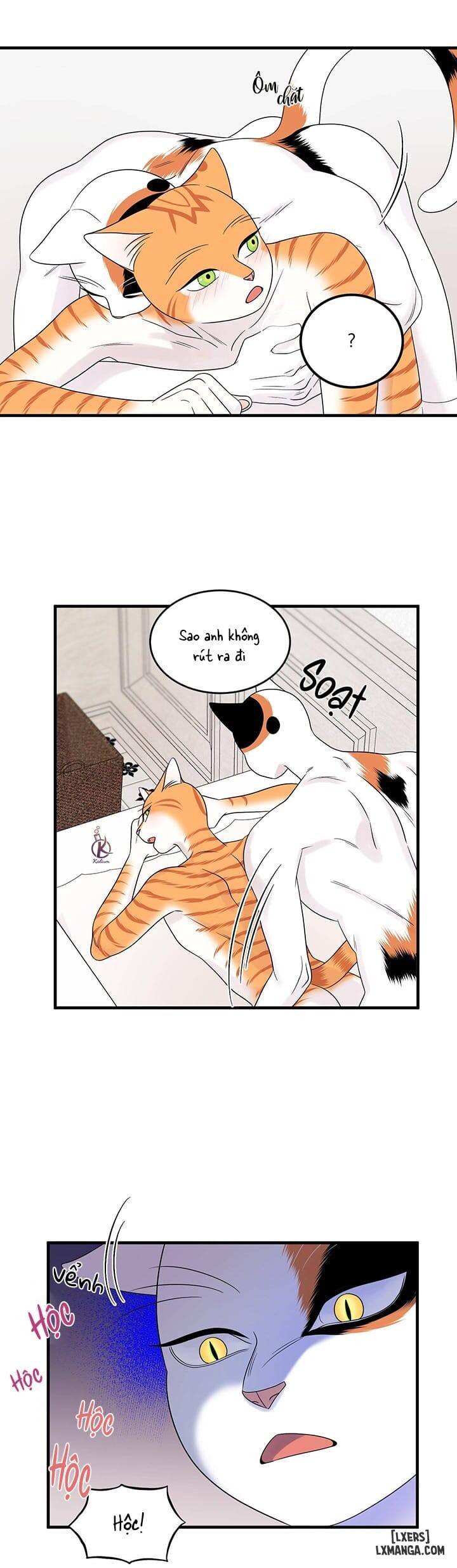 HentaiVN.net - Ảnh 18 - Dự án xanh - Chap 38