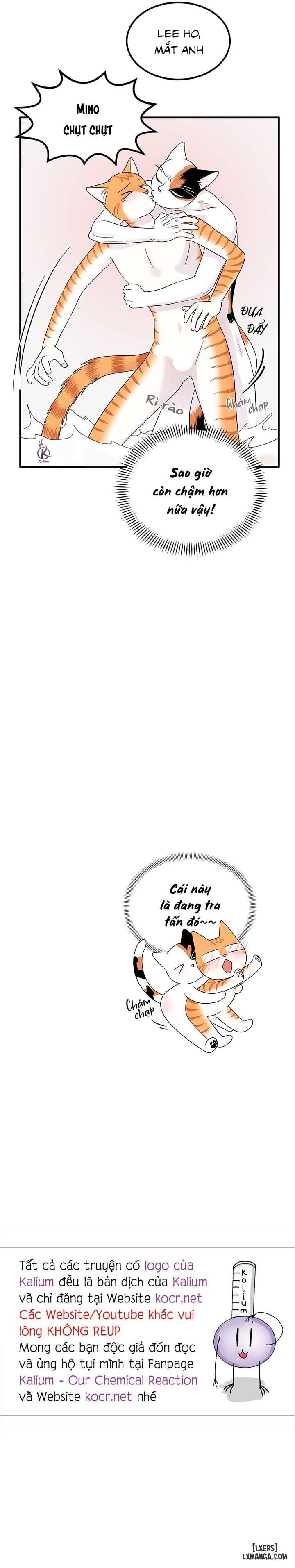 HentaiVN.net - Ảnh 19 - Dự án xanh - Chap 38