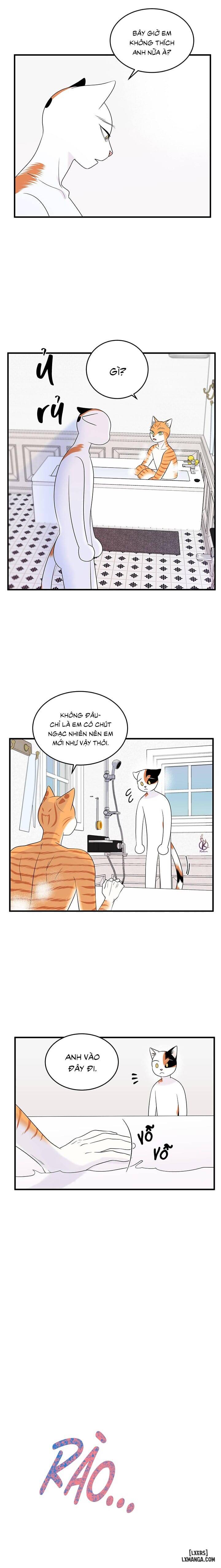 HentaiVN.net - Ảnh 3 - Dự án xanh - Chap 38