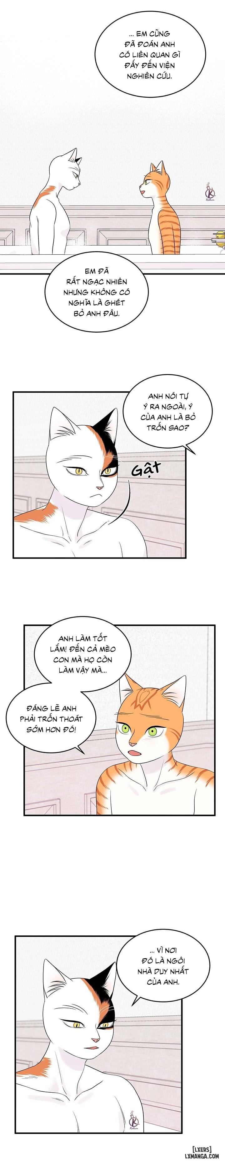 HentaiVN.net - Ảnh 4 - Dự án xanh - Chap 38