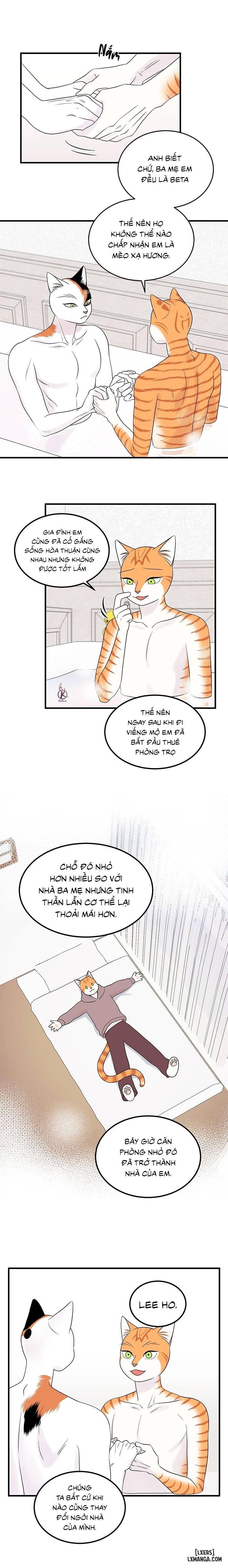 HentaiVN.net - Ảnh 5 - Dự án xanh - Chap 38