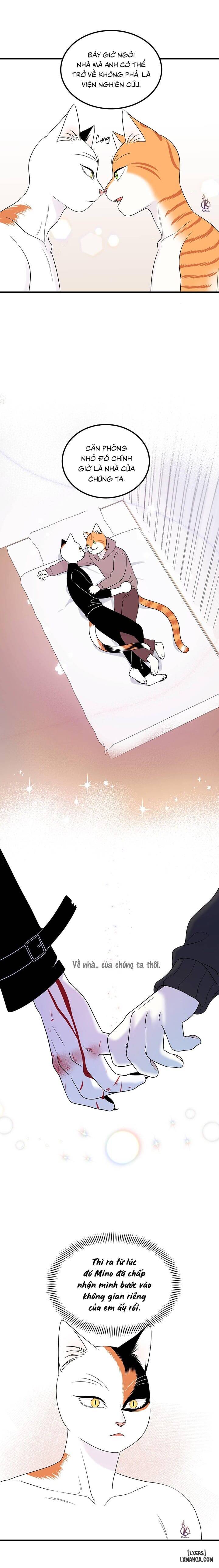 HentaiVN.net - Ảnh 6 - Dự án xanh - Chap 38