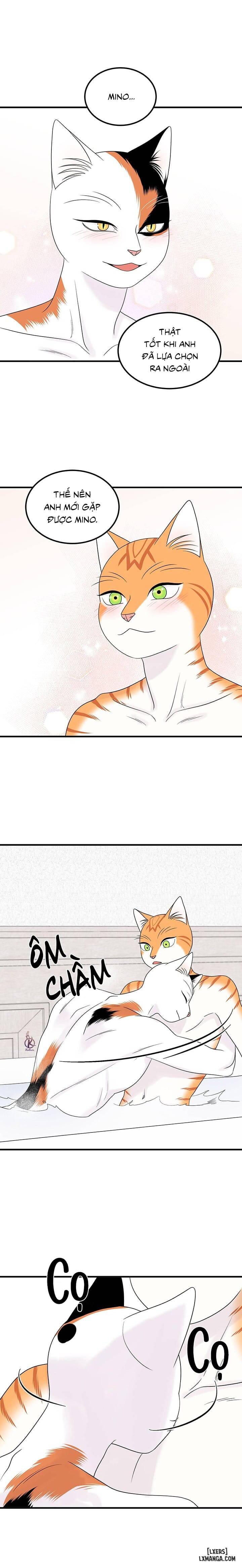 HentaiVN.net - Ảnh 7 - Dự án xanh - Chap 38