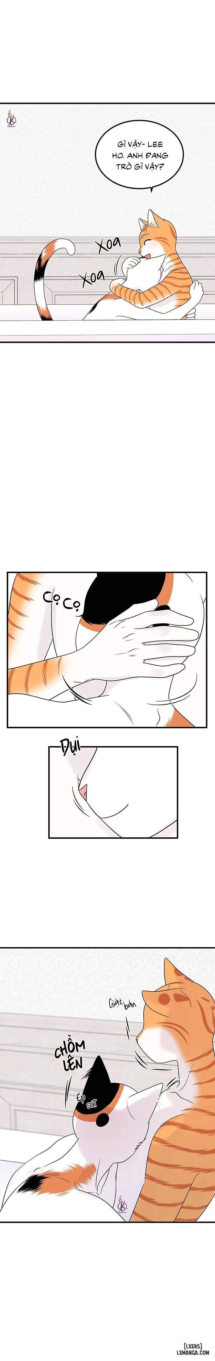 HentaiVN.net - Ảnh 8 - Dự án xanh - Chap 38