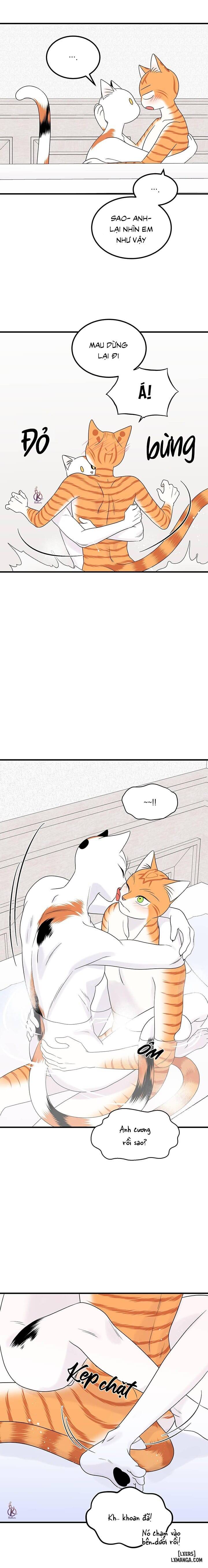 HentaiVN.net - Ảnh 9 - Dự án xanh - Chap 38