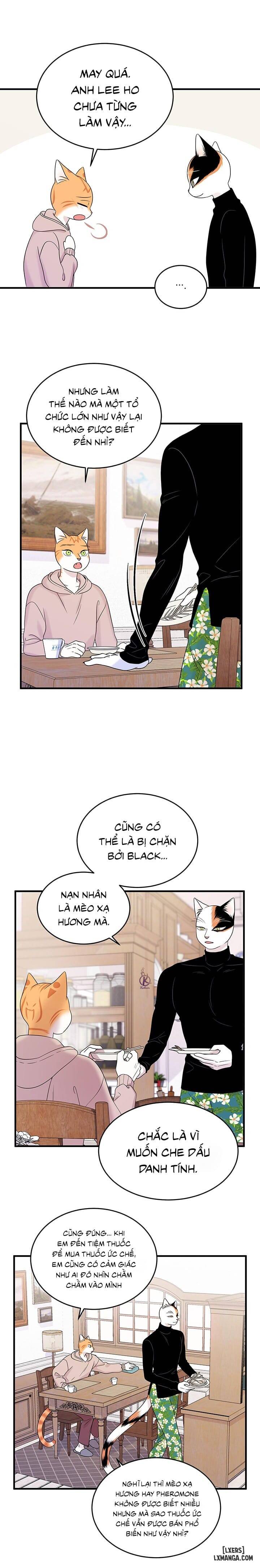 HentaiVN.net - Ảnh 10 - Dự án xanh - Chap 39