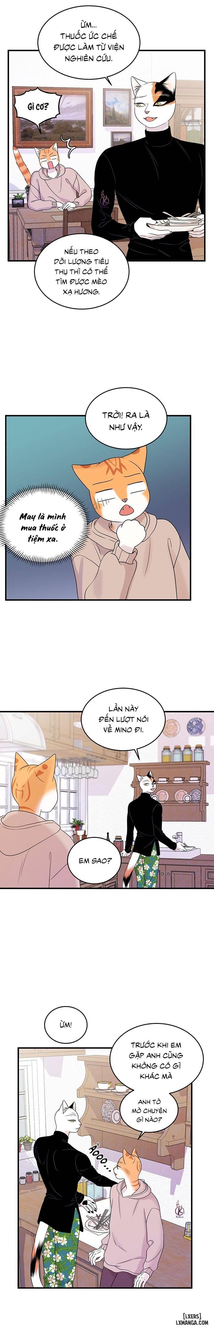 HentaiVN.net - Ảnh 11 - Dự án xanh - Chap 39