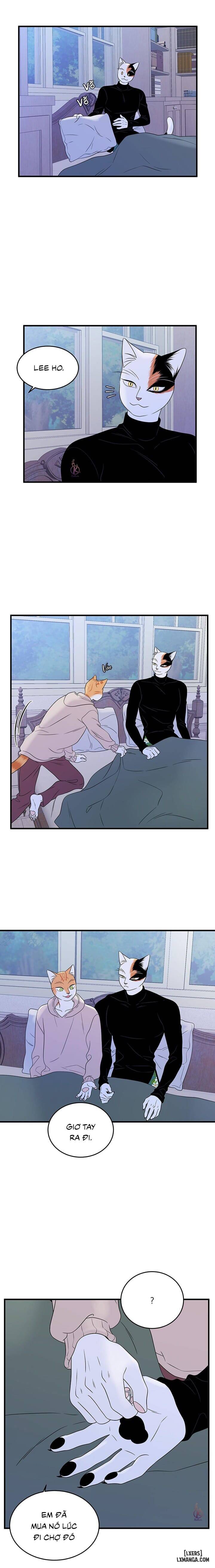 HentaiVN.net - Ảnh 16 - Dự án xanh - Chap 39